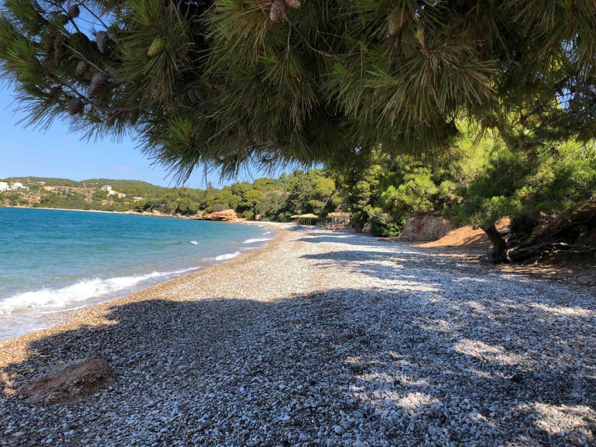 Villa Marina Porto Heli Esterno foto