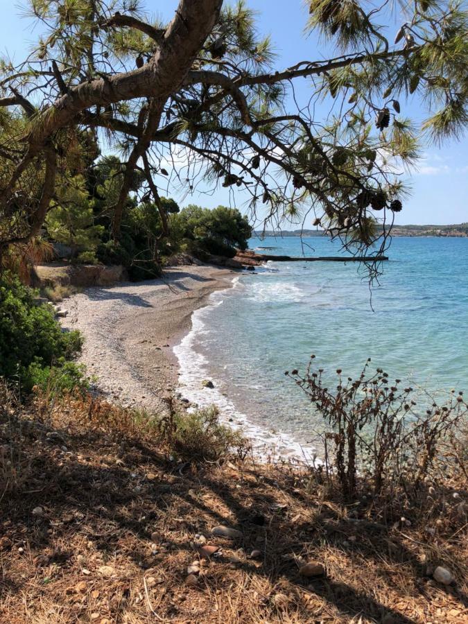 Villa Marina Porto Heli Esterno foto